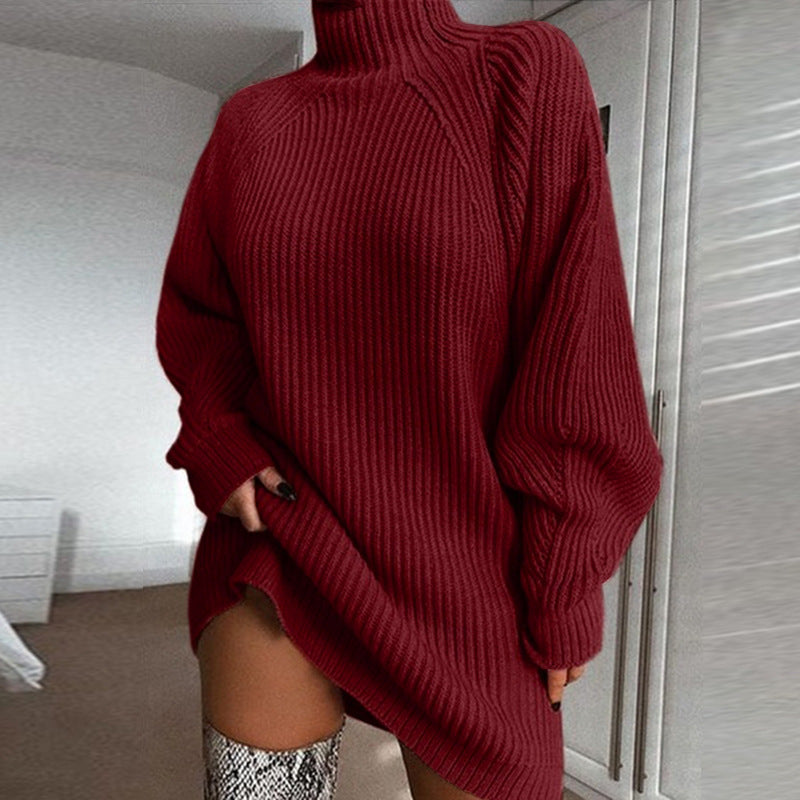 Marielle Duchamp | Turtleneck Knit Mini Sweater Dress For Women