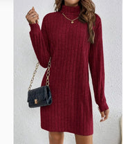 Odalys Ferraro | Ribbed Turtleneck Sweater Mini Dress For Women