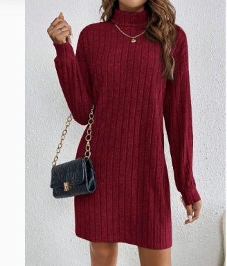 Odalys Ferraro | Ribbed Turtleneck Sweater Mini Dress For Women