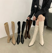 Celeste Armand | Pointed Toe Knee-High Boots For Women