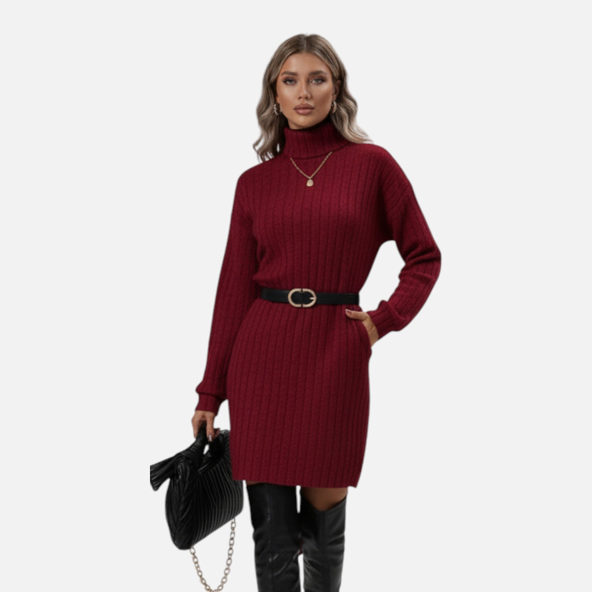 Vivienne Rousseau | Ribbed Knit Turtleneck Mini Dress For Women