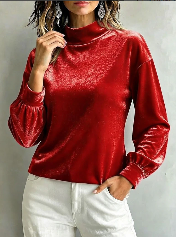 Priscilla Anjou | Velvet High Neck Blouse For Women