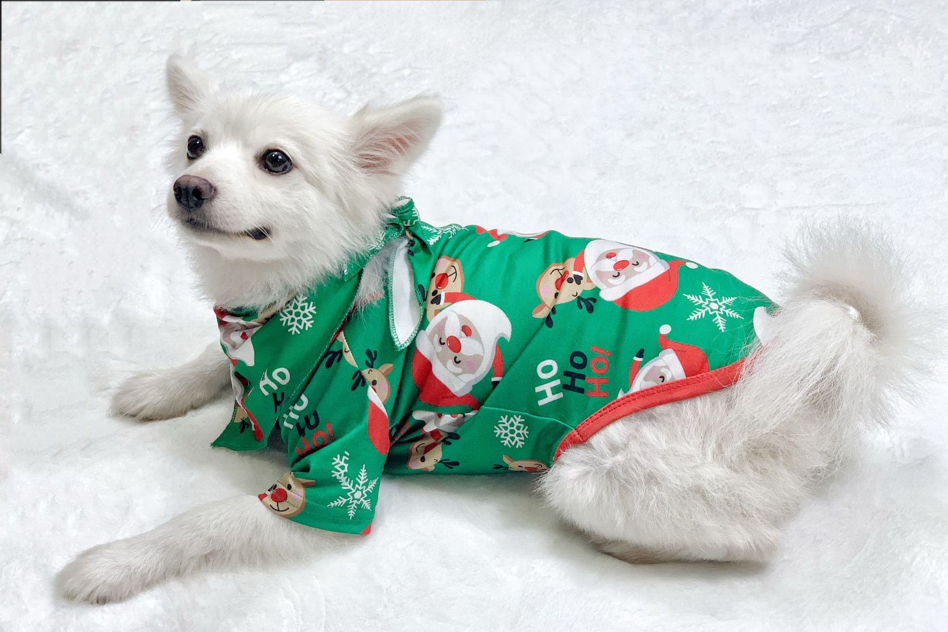 Cozy Noel | Green Santa Print Christmas Pyjamas Unisex & Family