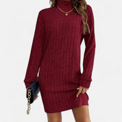 Vivienne Rousseau | Ribbed Knit Turtleneck Mini Dress For Women