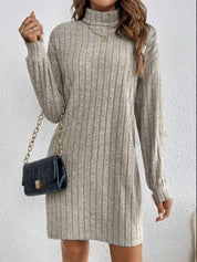 Odalys Ferraro | Ribbed Turtleneck Sweater Mini Dress For Women